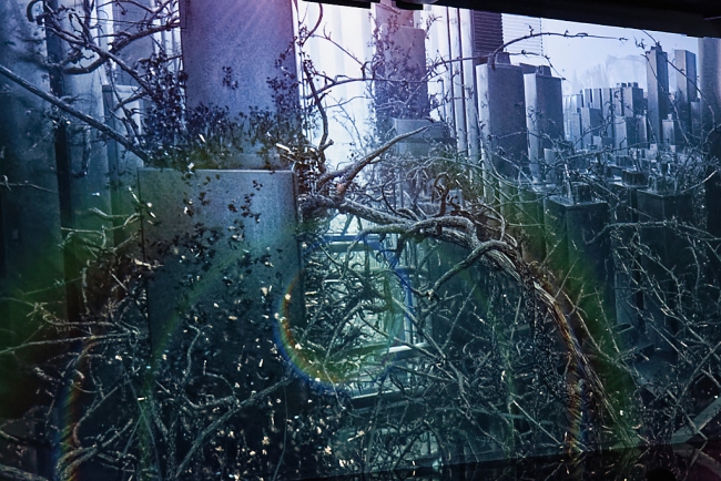 Bassins de lumières-Sorolla-Venise-121